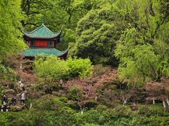 -岳麓山风景名胜区