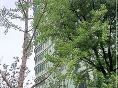 -上海外滩茂悦大酒店
