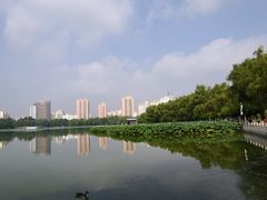 -莲花池公园