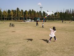 -上海长兴岛郊野公园