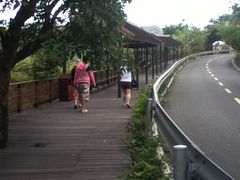 440-三亚亚龙湾人间天堂鸟巢度假村