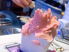 -野人牧坊Gelato(天津南开大悦城店)