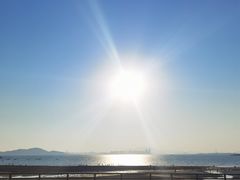 -八大关景区