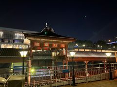 -武汉两江游览·夜游长江(汉口粤汉码头)