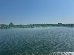 -白洋淀风景区