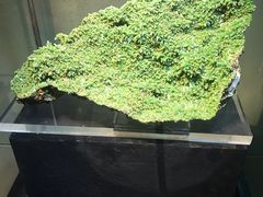 -中华赏石园