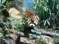 -石排湾郊野公园