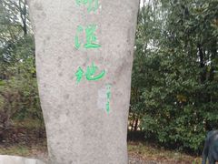 -溱湖国家湿地公园