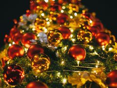 -渔寿司·日本料理(艾尚天地店)