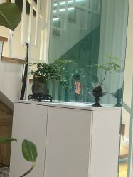 -薇薇安花系SPA
