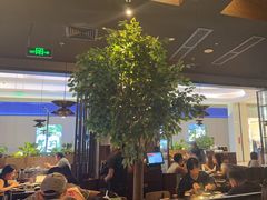-同仁四季椰子鸡(宝安壹方城店)