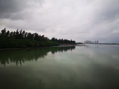 -万绿园