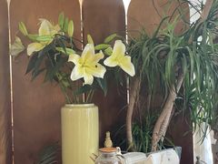 -Jo's Garden