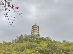 -深圳国际园林花卉博览园