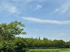-上海长兴岛郊野公园