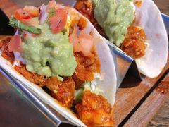 -Famous肥猫墨西哥音乐餐吧(五棵松华熙LIVE店)