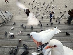 -六祖寺