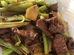 子姜炒牛肉-九和鸿禧饭店