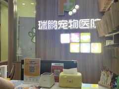 -瑞鹏宠物医院·宠保定点·心脏科·内科(御桥分院)