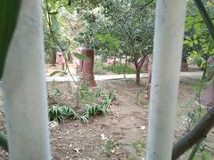 -河南省实验中学思达外国语小学