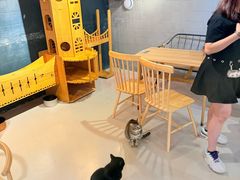 -豆逗聊愈猫阁Easy Life