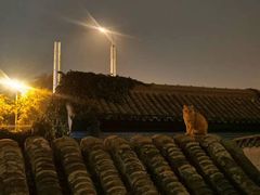 -EATALIA意塔利意式餐厅(鼓楼店)