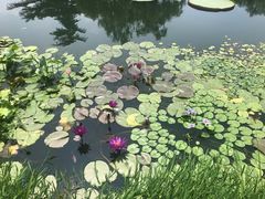 -国家植物园南园