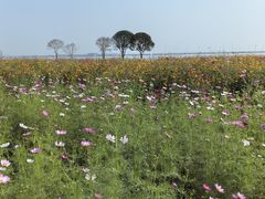 -小陆莲花蟹园农家乐(莲花岛店)