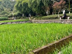 -龙头寺公园