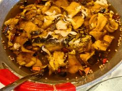 -鑫巴蜀小镇 · 水煮鱼专研店(玉桥店)