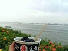-海鸥岛