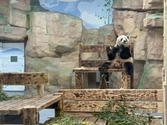 -无锡动物园·太湖欢乐园