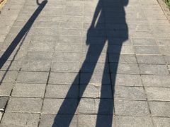 -人民防洪胜利纪念塔