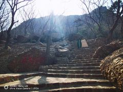 -山叶口景区