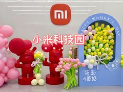 -小米科技园
