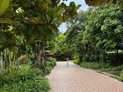 -四会奇石河风景区