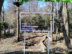 -WeLope紫金山探险公园
