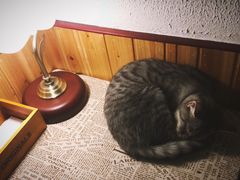 -隅cafe(傅厚岗店)