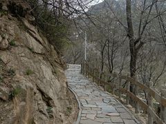 -大岭沟猕猴桃谷风景区