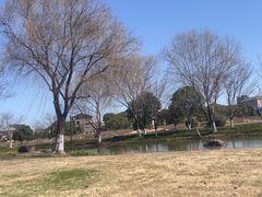 -径山花海