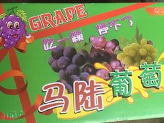 -马陆小张葡萄园农家乐