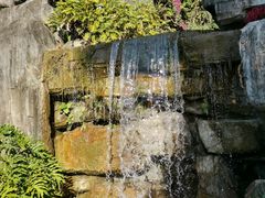 -广州神农草堂中医药博物馆