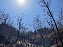 -白水寺森林公园