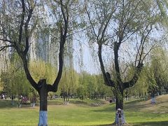-帽儿山风景区