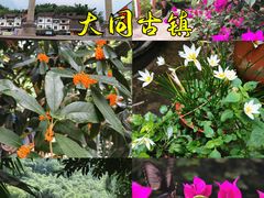 -赤水丹霞旅游区·大瀑布
