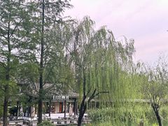 -日出青木