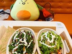 -油梨树 AVOCADO TREE(亮马桥店)