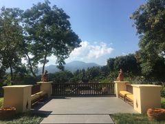 -四季酒店下午茶