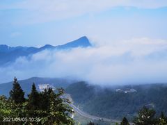 -武陵山森林公园
