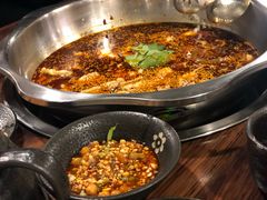 -川渔居—鱼火锅(八方汇店)